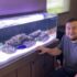 Oscar Fish Care Guide: Tank Setup, Diet & Behavior Tips