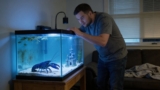 Electric Blue Crayfish: The Only Care Guide You Need