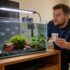 Oranda Goldfish 101: Care Tips, Size, Colors, Lifespan