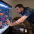 How To Care For Guppy Fry (Insane Survival Rate)