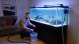 Exotic Pet Insurance: Key Considerations for Pet Owners