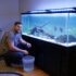 Best Betta Fish Tanks: Top 5 For 2024 And Beyond