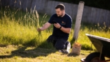 Valley Grass Thrives: Expert Care Guide