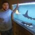 Planted Aquarium Lighting; The Best LED Lights for Planted Tanks (2024 Guide)