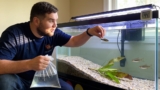 Setting Up A Fish Tank: Avoid These 15 Beginner Mistakes