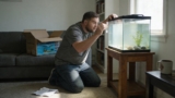 How To Cycle A Fish Tank: Navigating The Nitrogen Cycle