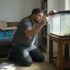 What Eats Fish Poop In An Aquarium