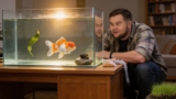 5 Best 5 Gallon Fish Tanks ( Why They’re So Good)