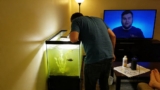 Why Most Fish Tanks Fail (And How to Fix Yours Fast)