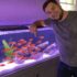 Lucky Bamboo in Aquariums: Care, Setup & Benefits