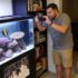 5 Reasons Your Betta Jump Outs Of Their Tank