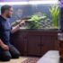 Schooling Fish for Aquarium: What Are They, Which Are Best?