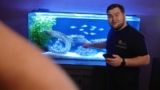 Freshwater Aquarium Eels: Popular Types, Care  Setup