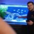 Duckweed Care: Hardy Floating Aquarium Plant Guide