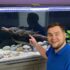 Activated Carbon for Aquariums: Ultimate Filtration Guide