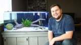 Popular Freshwater Brackish Puffer Fish Types (with Pictures)