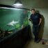 Bettas And Ember Tetras: A Match Made In Heaven