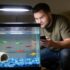 How Long Do GloFish Live? Lifespan of Each Species Explained