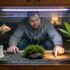 From Tap to Tank: Make Water Fish-Safe Instantly