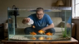 How Many Goldfish per Gallon (2025 Guide Easy Calculator)