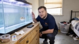 Bubble Eye Goldfish Care Secrets Unveiled