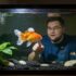 The Best Snail-Eating Fish For Your Aquarium