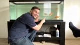 5 Hidden Factors That Decide a Goldfish’s Lifespan