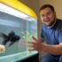 Silver Tip Tetra: Thriving in Community Tanks