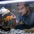 Dwarf Crayfish Care: Tank Mates, Food, Size  More