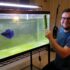 Do Betta Fish Need A Heater In The Summer? The Expert Answer