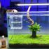 Coral Fragging Guide: All About Soft And Stony SPS  LPS
