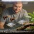 Bala Sharks Thrive: Essential Care Tips