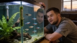 Ideal Guppy Water Temperature (Min, Max, What Can Go Wrong)