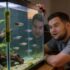 Lyretail Anthias: Essential Care Guide for Reef Tank Enthusiasts