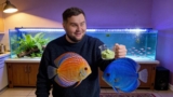 Homemade Fish Foods: Keep Your Fish Looking Their Best (6 Recipes)