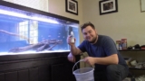 From Tap to Tank: Make Water Fish-Safe Instantly