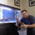 15 Easy To Breed Fish And How To Care For Them