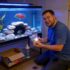 Guppy Facts: Male Vs. a Female Key Differences