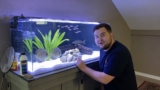 Keyhole Cichlid Care: Tank Setup, Diet & Breeding Tips