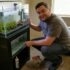 Betta Lifespan Revealed: Care Secrets Unveiled