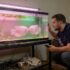 Discus Fish Care Guide: Expert Tips For Beginners