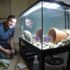 Best 30 Gallon Fish Tank
