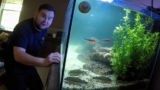 Lakes and Ponds Key Differences Explained Simply