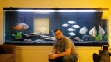 Best 200 Gallon Fish Tank