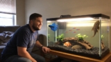 Best 30 Gallon Fish Tank