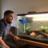 Kribensis Cichlid 101: Care, Size, Tank Requirements