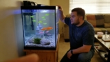 How Long Do GloFish Live? Lifespan of Each Species Explained