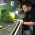 Rabbit Snails: The Peaceful Cleanup Crew You’ll Love