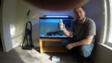 How To Lower The pH In Your Aquarium Without The Hassle