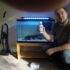 How Much Do Betta Fish Cost (Including Equipment)